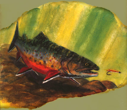 brooktrout water color painting