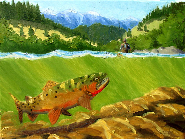 cutthroat trout chasing fly