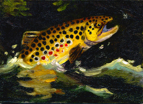 browntrout fly fishing